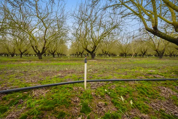 $1,643,500 | 16221 Carrolton Road, Escalon, CA 95320