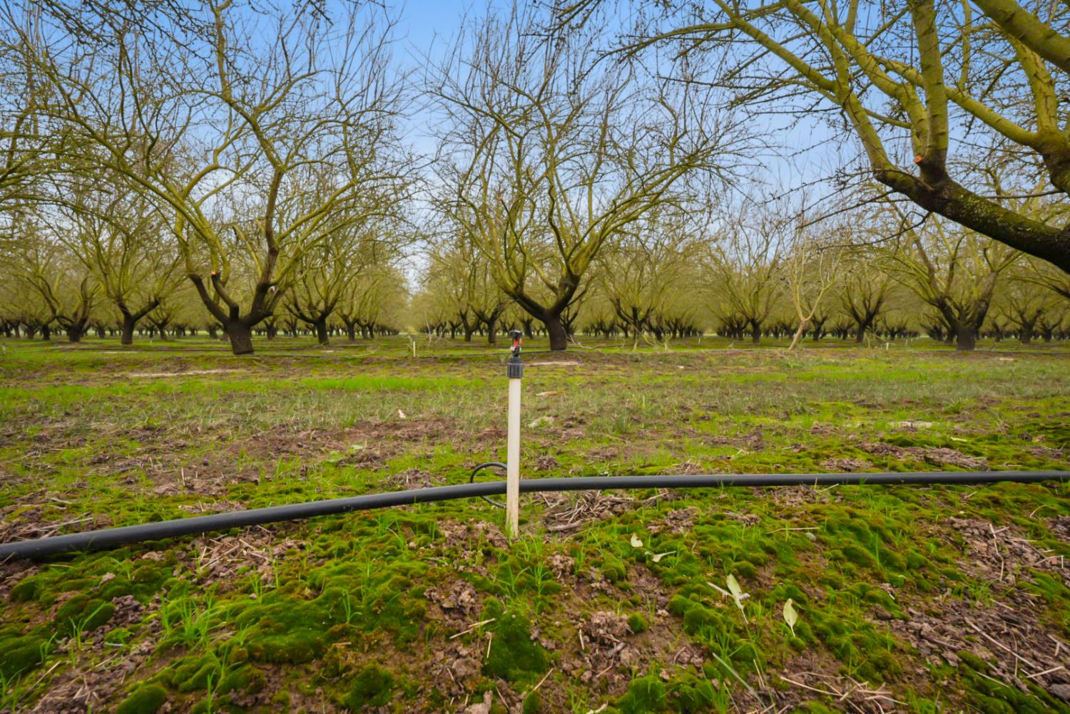 16221 Carrolton Road Escalon, CA 95320 - Photo 35 of 48 a view of an ocean