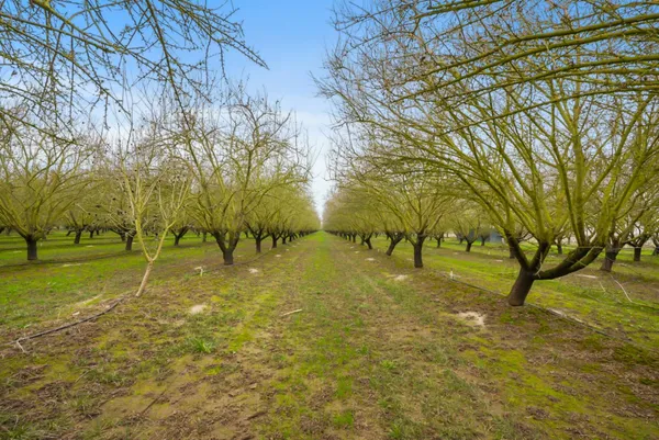 $1,643,500 | 16221 Carrolton Road, Escalon, CA 95320