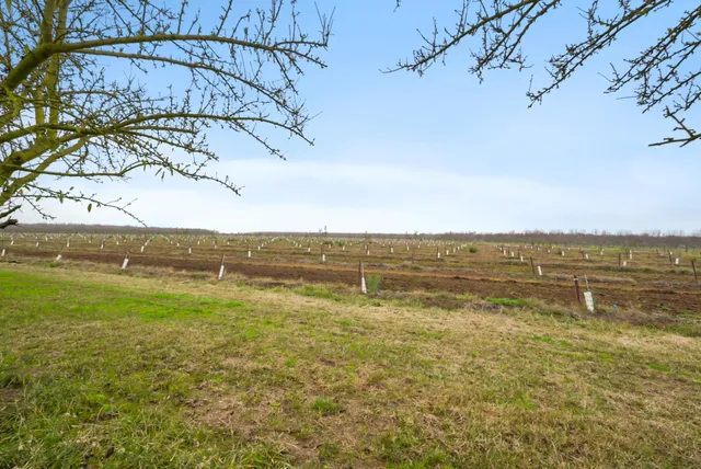 $1,715,000 | 16221 Carrolton Road, Escalon, CA 95320