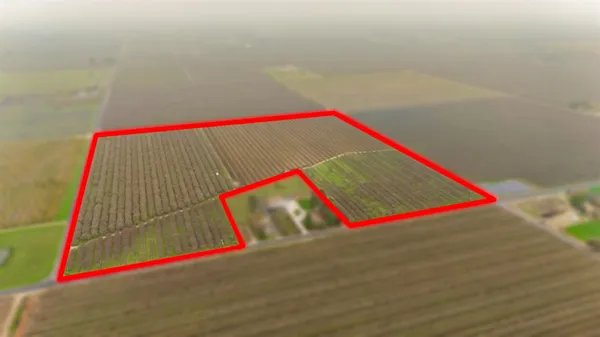 $1,643,500 | 16221 Carrolton Road, Escalon, CA 95320