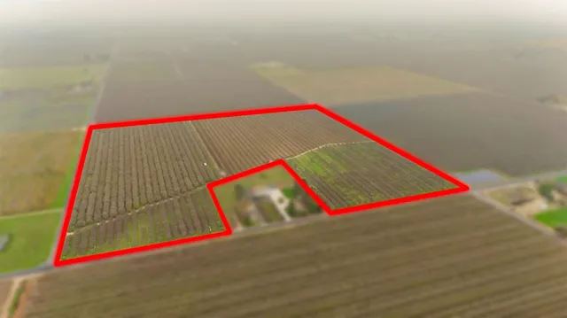 $1,715,000 | 16221 Carrolton Road, Escalon, CA 95320