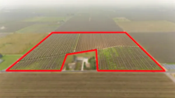 $1,643,500 | 16221 Carrolton Road, Escalon, CA 95320