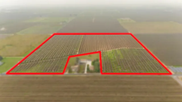 $1,715,000 | 16221 Carrolton Road, Escalon, CA 95320