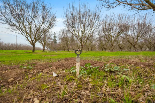 $1,643,500 | 16221 Carrolton Road, Escalon, CA 95320