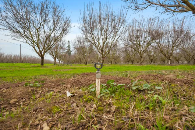 $1,715,000 | 16221 Carrolton Road, Escalon, CA 95320