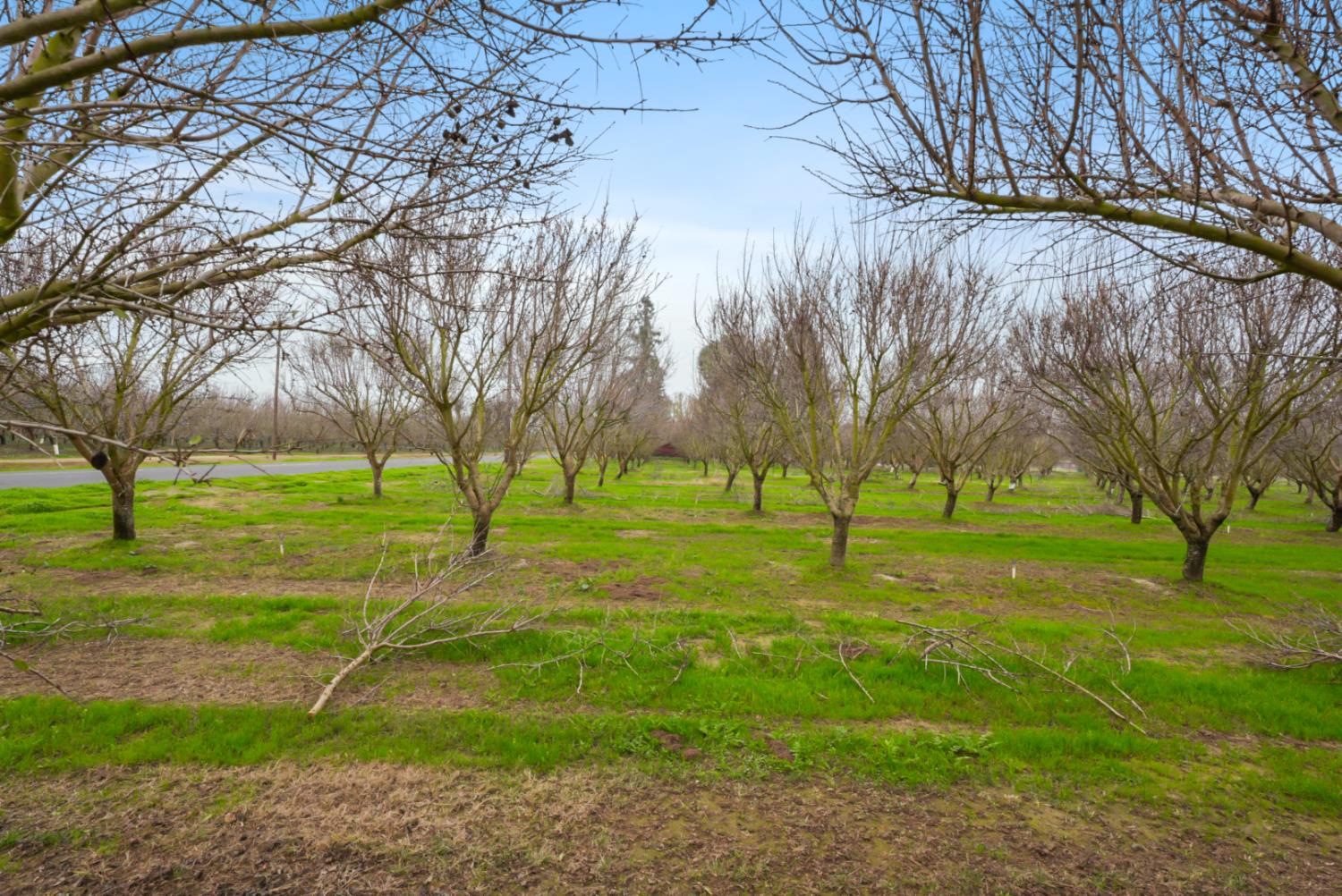 16221 Carrolton Road Escalon, CA 95320 - Photo 7 of 48 a view of field with trees