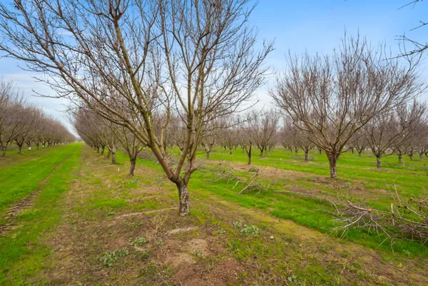 $1,643,500 | 16221 Carrolton Road, Escalon, CA 95320