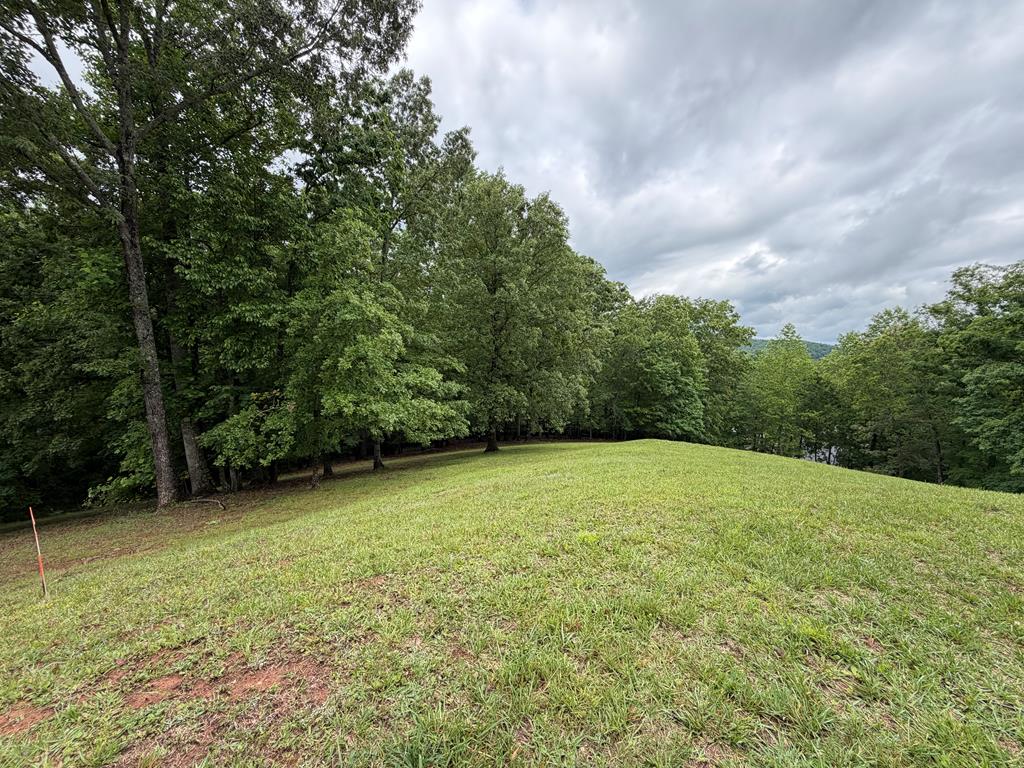 Lot 17 Drake Ridge Lane Hayesville, NC 28904 - Photo 2 of 6 a view of outdoor space and yard