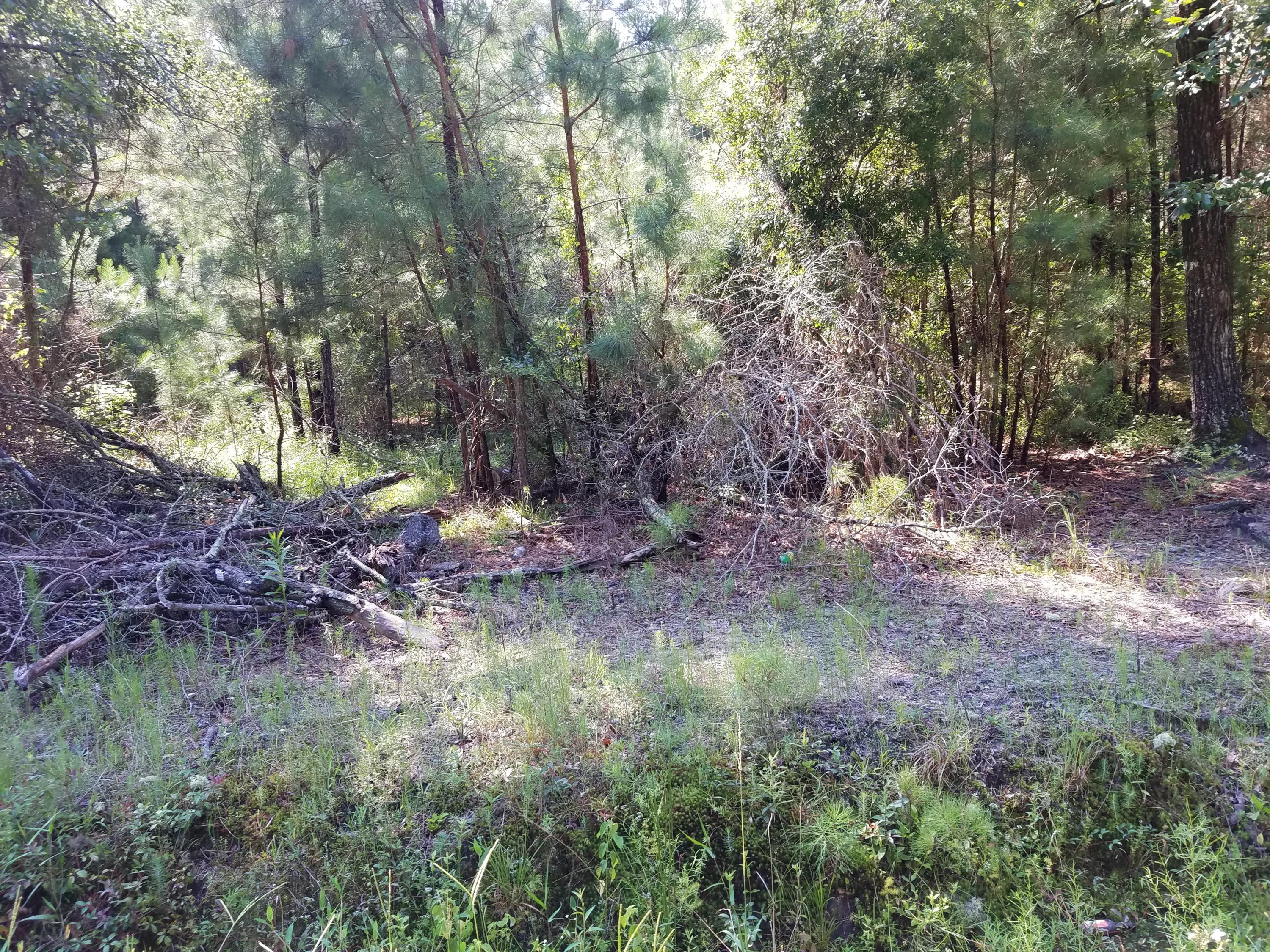 1467 Hiers Corner Road Walterboro, SC 29488 - Photo 1 of 10 20200619_102942