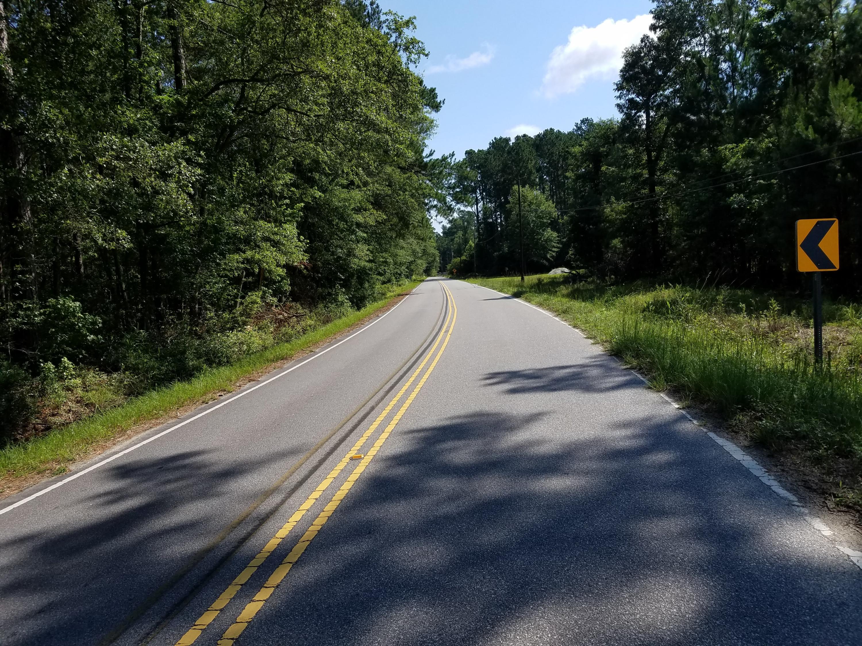 1467 Hiers Corner Road Walterboro, SC 29488 - Photo 5 of 10 20200619_102831