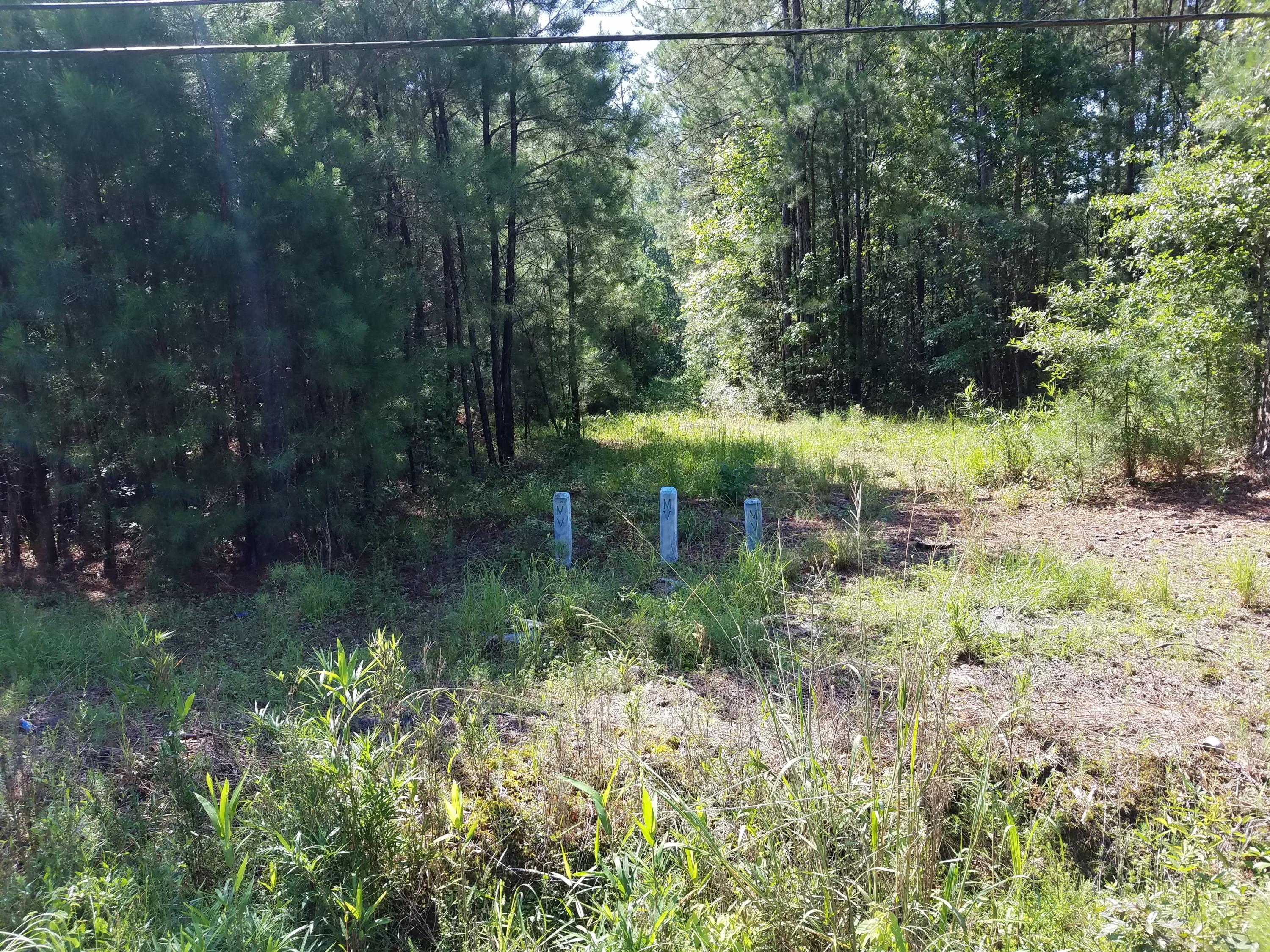 1467 Hiers Corner Road Walterboro, SC 29488 - Photo 6 of 10 20200619_102851
