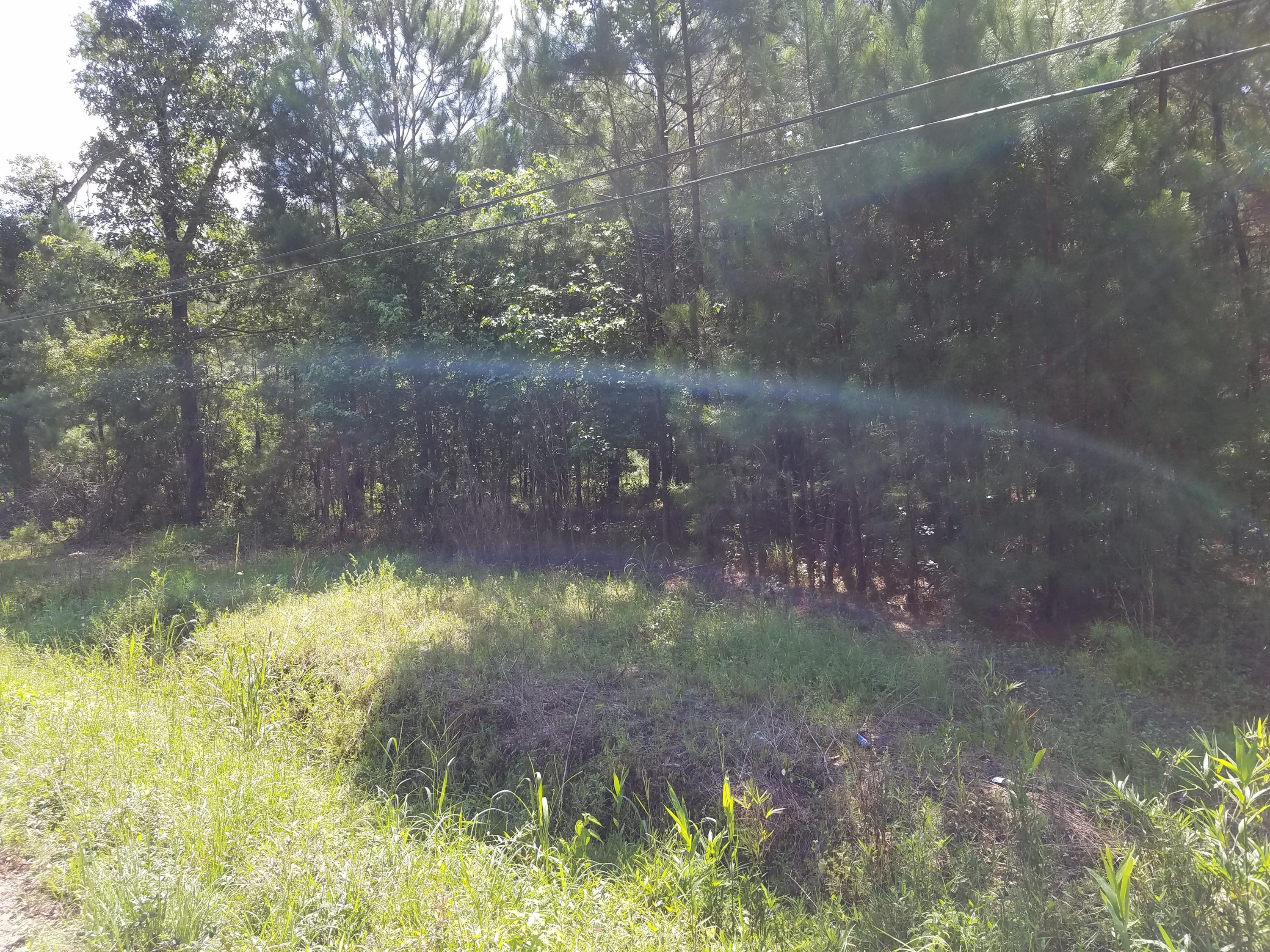 1467 Hiers Corner Road Walterboro, SC 29488 - Photo 7 of 10 20200619_102855