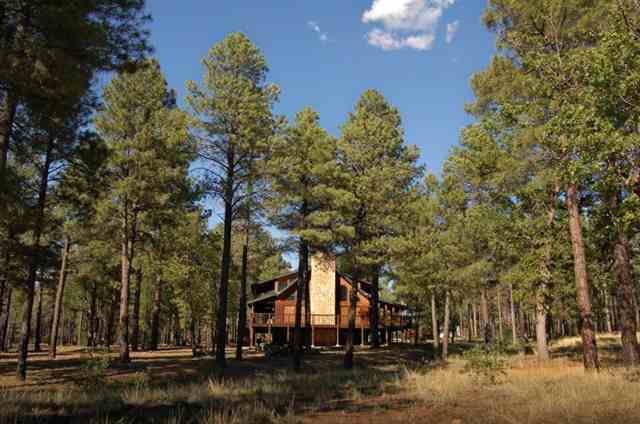 561 Rim Road Pinedale, AZ 85934 - Photo 2 of 5