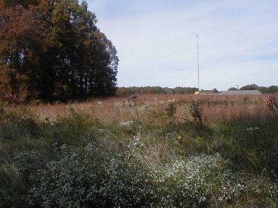 0 Forest Ridge Drive Bolivar, MO 65613 - Photo 1 of 1 Primary Photo