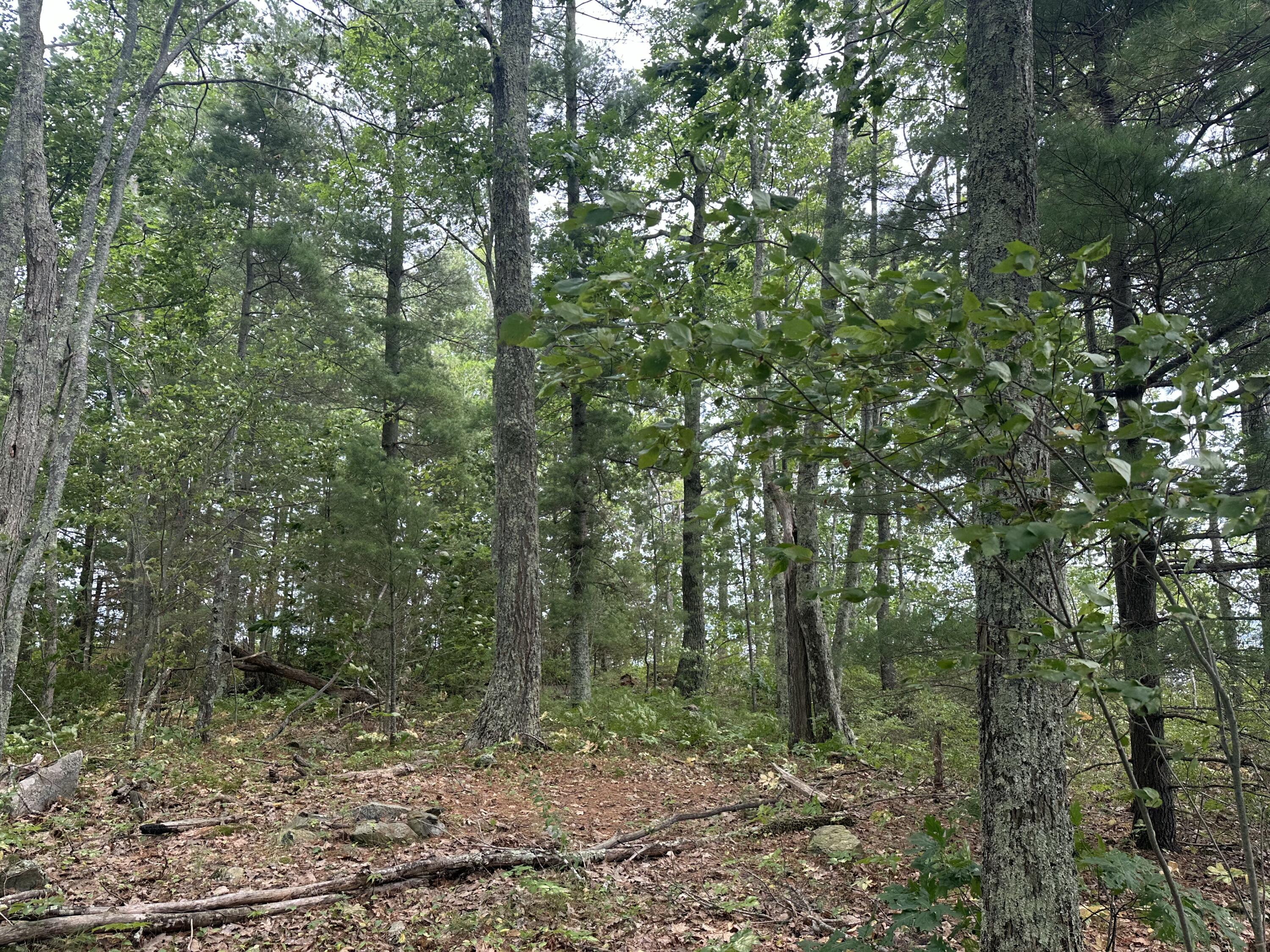 0 Mouse Island Old Town, ME 04468 - Photo 14 of 15 IMG_0291