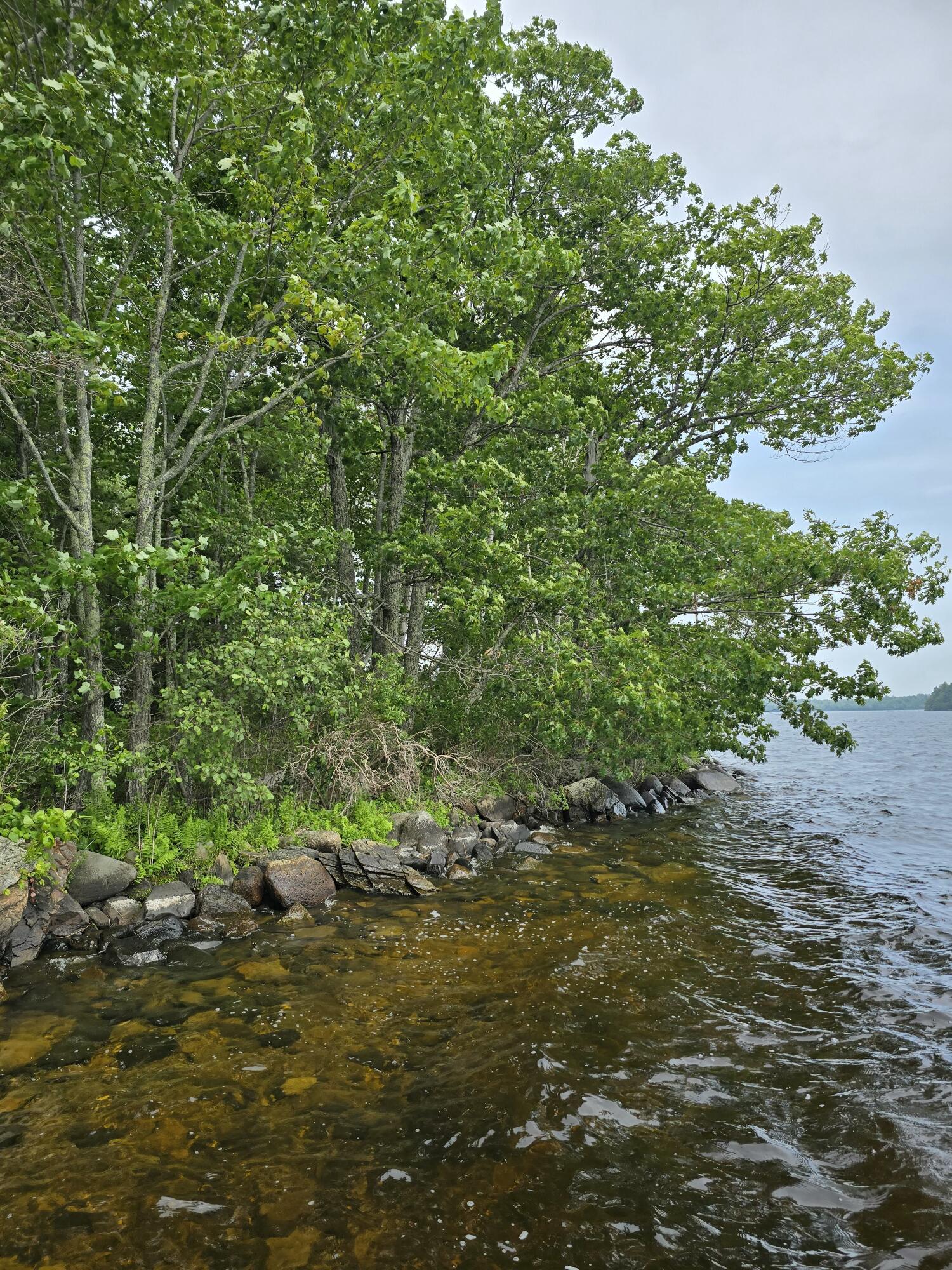0 Mouse Island Old Town, ME 04468 - Photo 2 of 15 1000011130