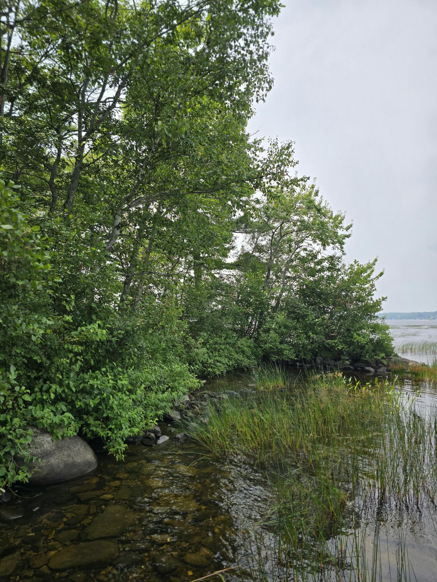 0 Mouse Island Old Town, ME 04468 - Photo 6 of 15 1000011143