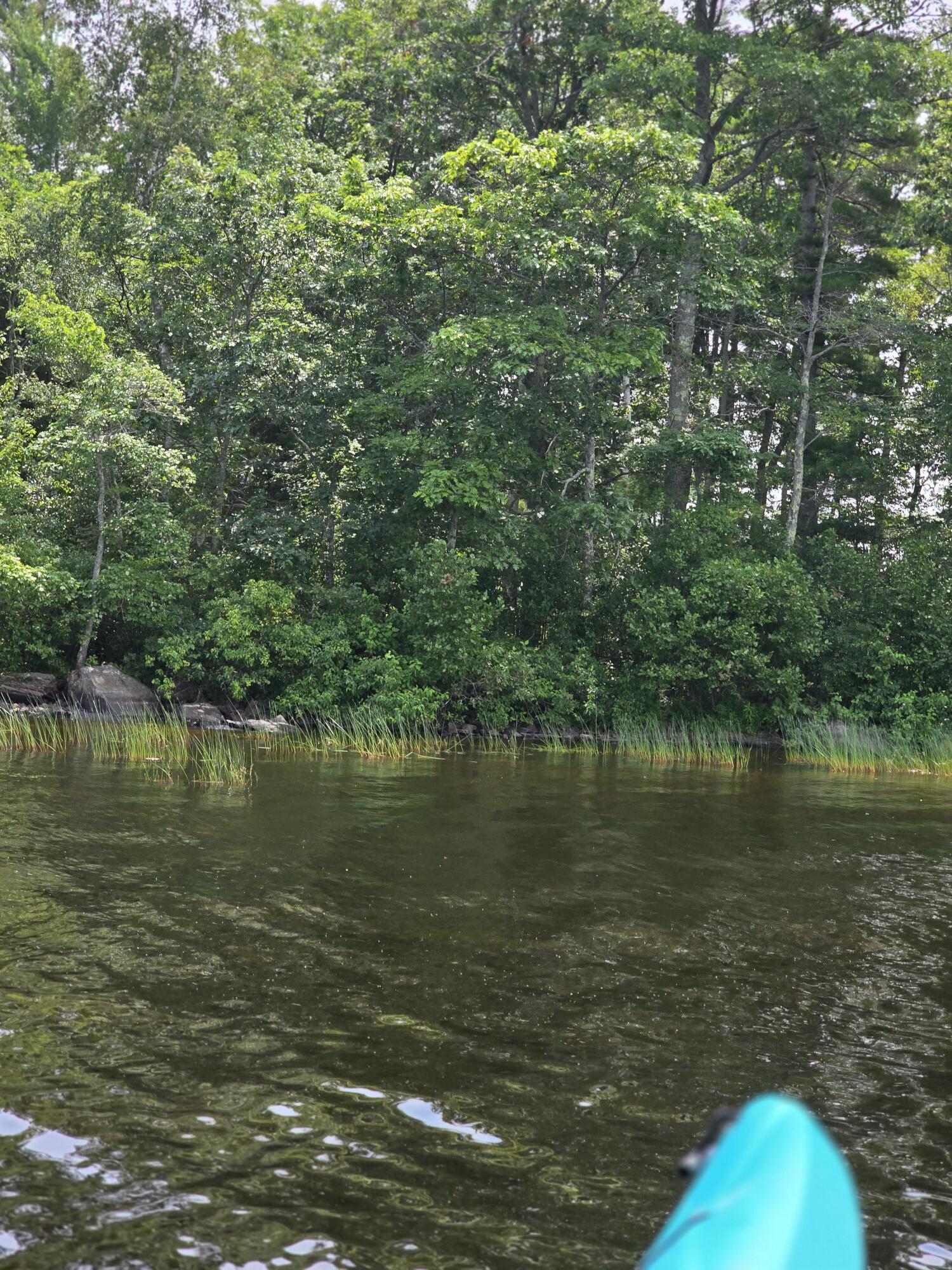 0 Mouse Island Old Town, ME 04468 - Photo 8 of 15 1000011131
