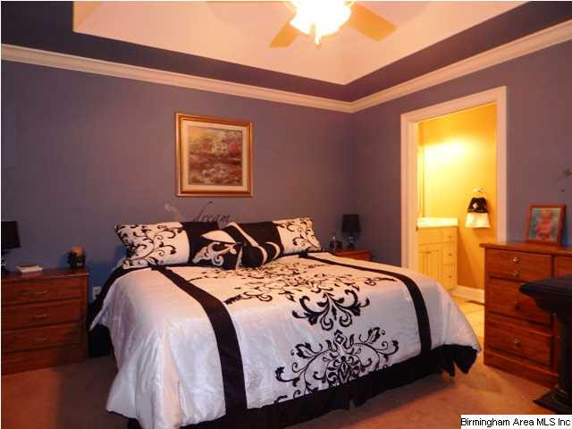 393 Indian Hills Road Hayden, AL 35079 - Photo 15 of 19