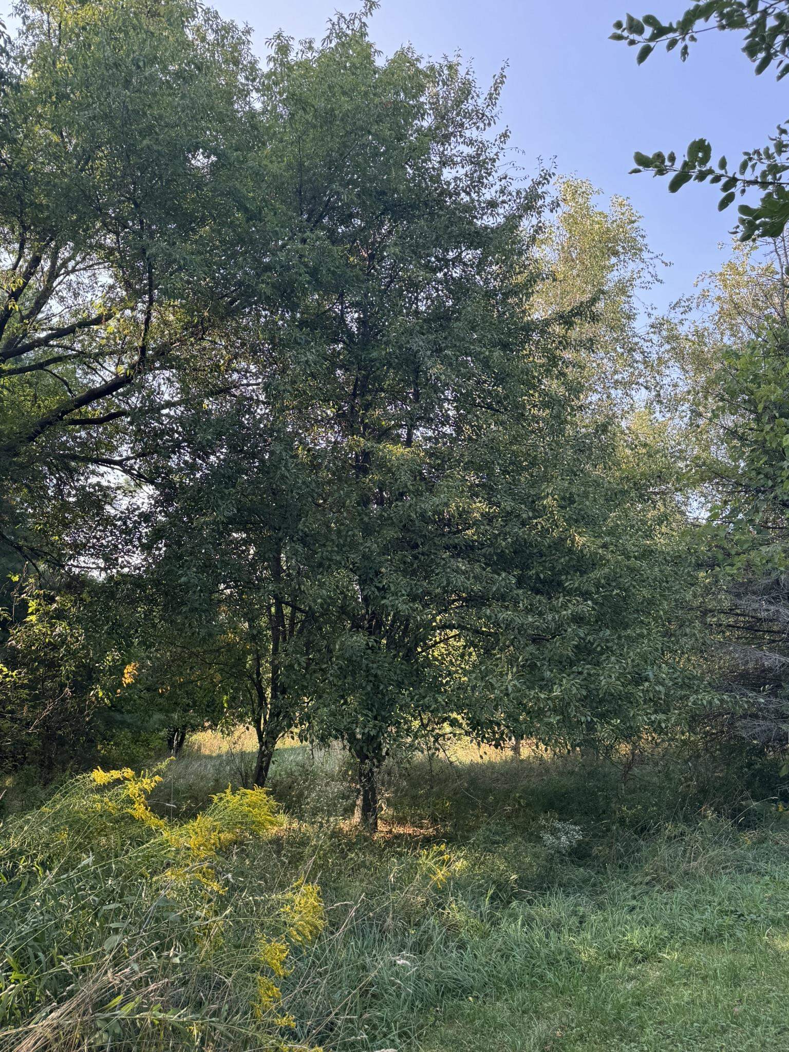 849 Boutah Road Alburgh, VT 05440 - Photo 23 of 28