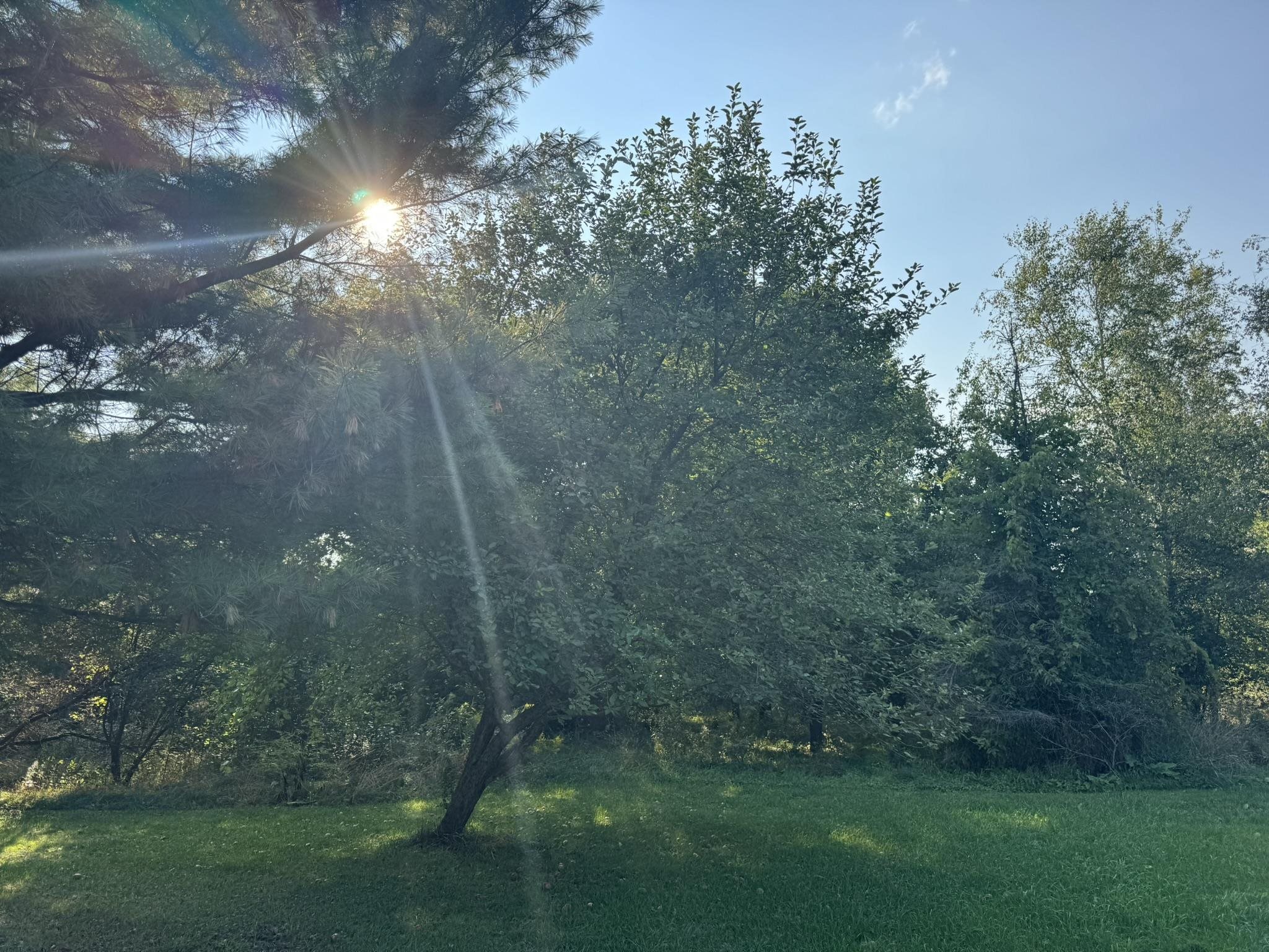 849 Boutah Road Alburgh, VT 05440 - Photo 24 of 28