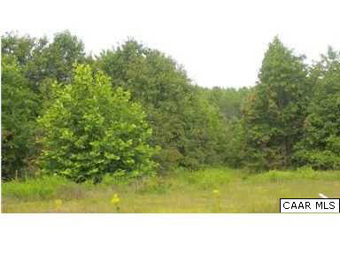 3485 Warminster Church Road Buckingham, VA 23921 - Photo 6 of 9 a view of a field with a tree