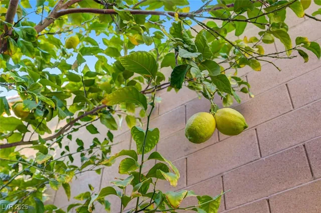 $2,289 | 6625 Rocky Reef Street, Las Vegas, NV 89149