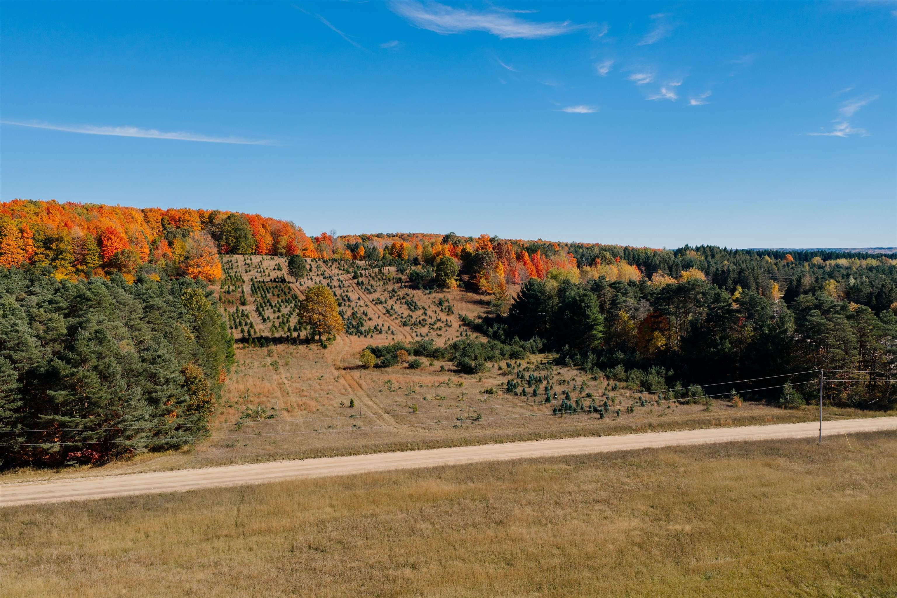 0 Southwest Sperry Road Fife Lake, MI 49633 - Photo 5 of 22 1939873-6e1d45d6-0be5-4d89-b9ab-79c333306238.JPG