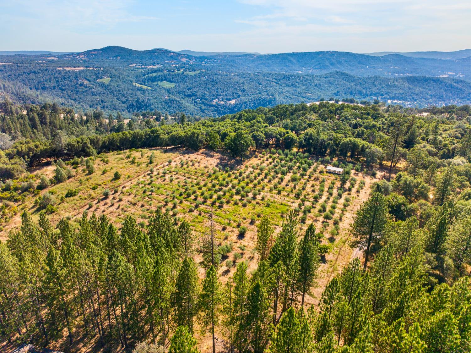 4000 Twin Ridges Road Garden Valley, CA 95633 - Photo 93 of 98