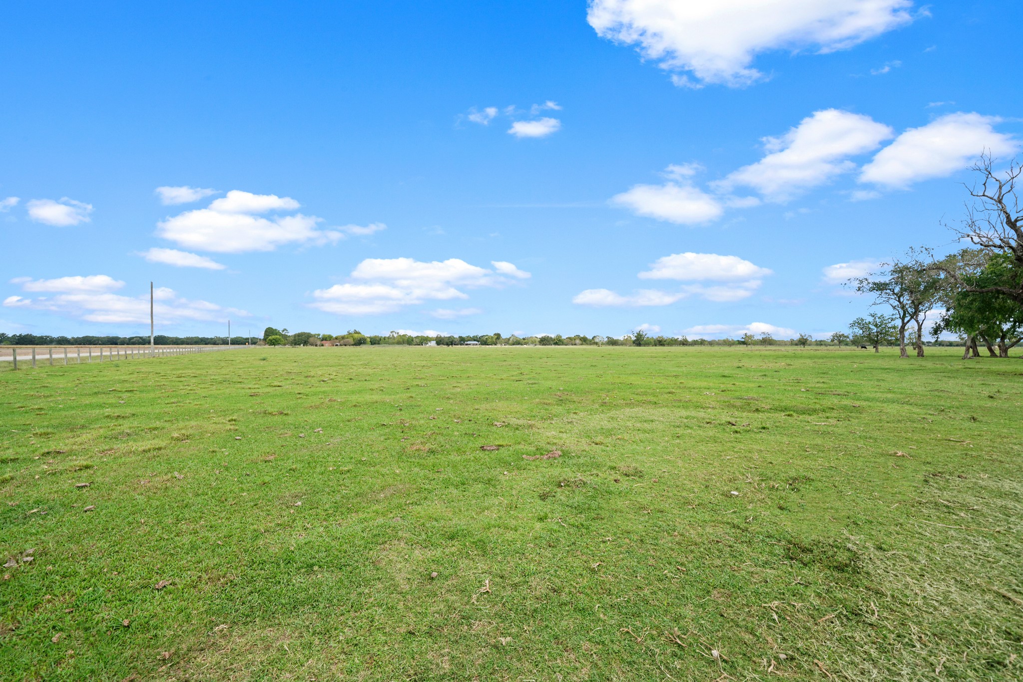 10507 Padon Road Needville, TX 77461 - Photo 8 of 48 a view of a big yard with a house in the background