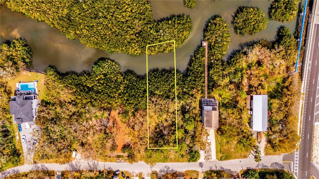 Phoenix Avenue Oldsmar, FL 34677 - Photo 4 of 11