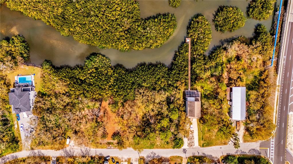 Phoenix Avenue Oldsmar, FL 34677 - Photo 6 of 11