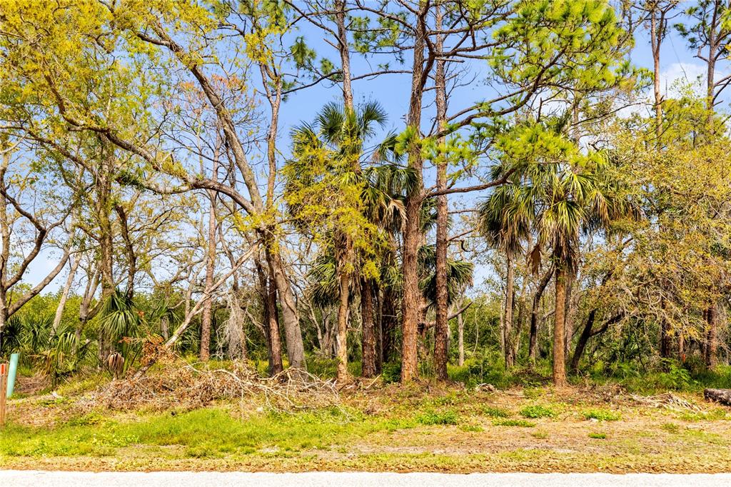 Phoenix Avenue Oldsmar, FL 34677 - Photo 8 of 11