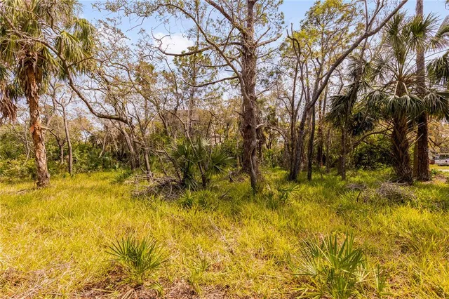 $120,000 | Phoenix Avenue, Oldsmar, FL 34677