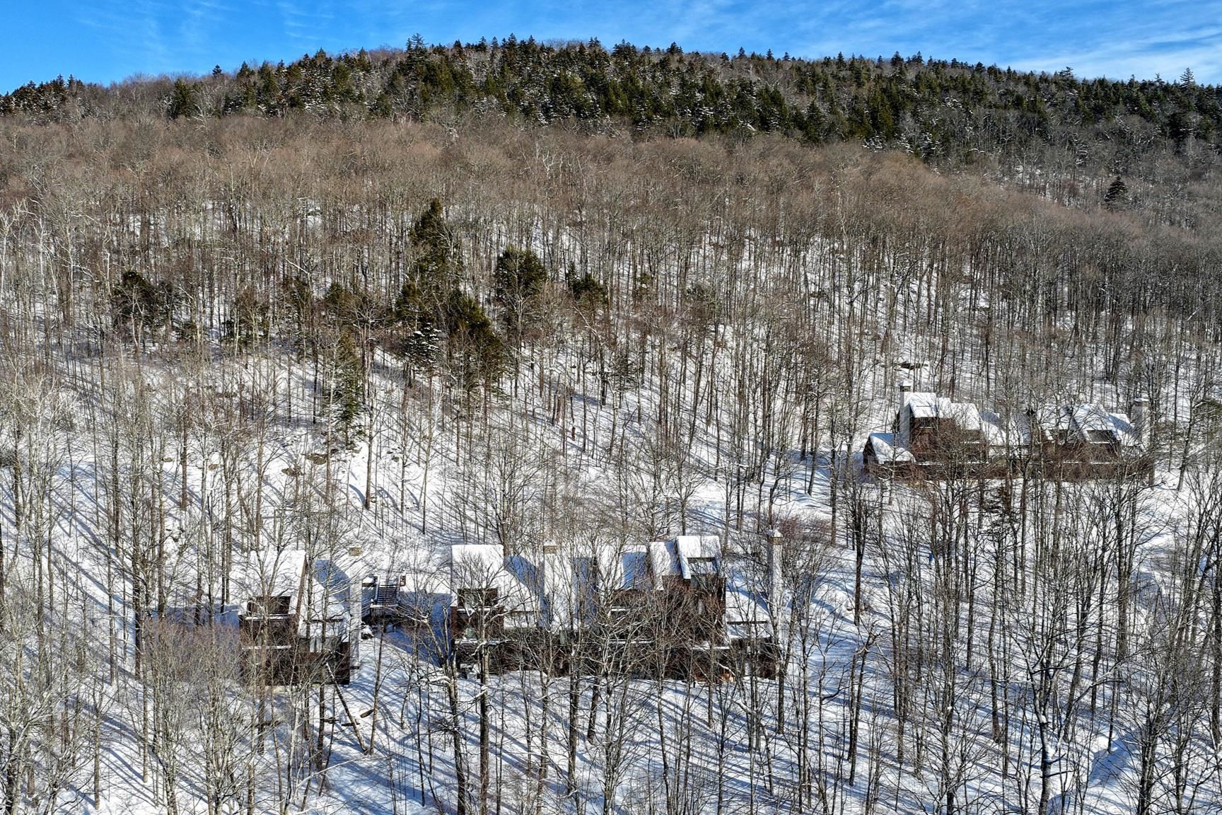 11 Blueberry Ledge Ridge, Unit L3 Plymouth, VT 05056 - Photo 8 of 8