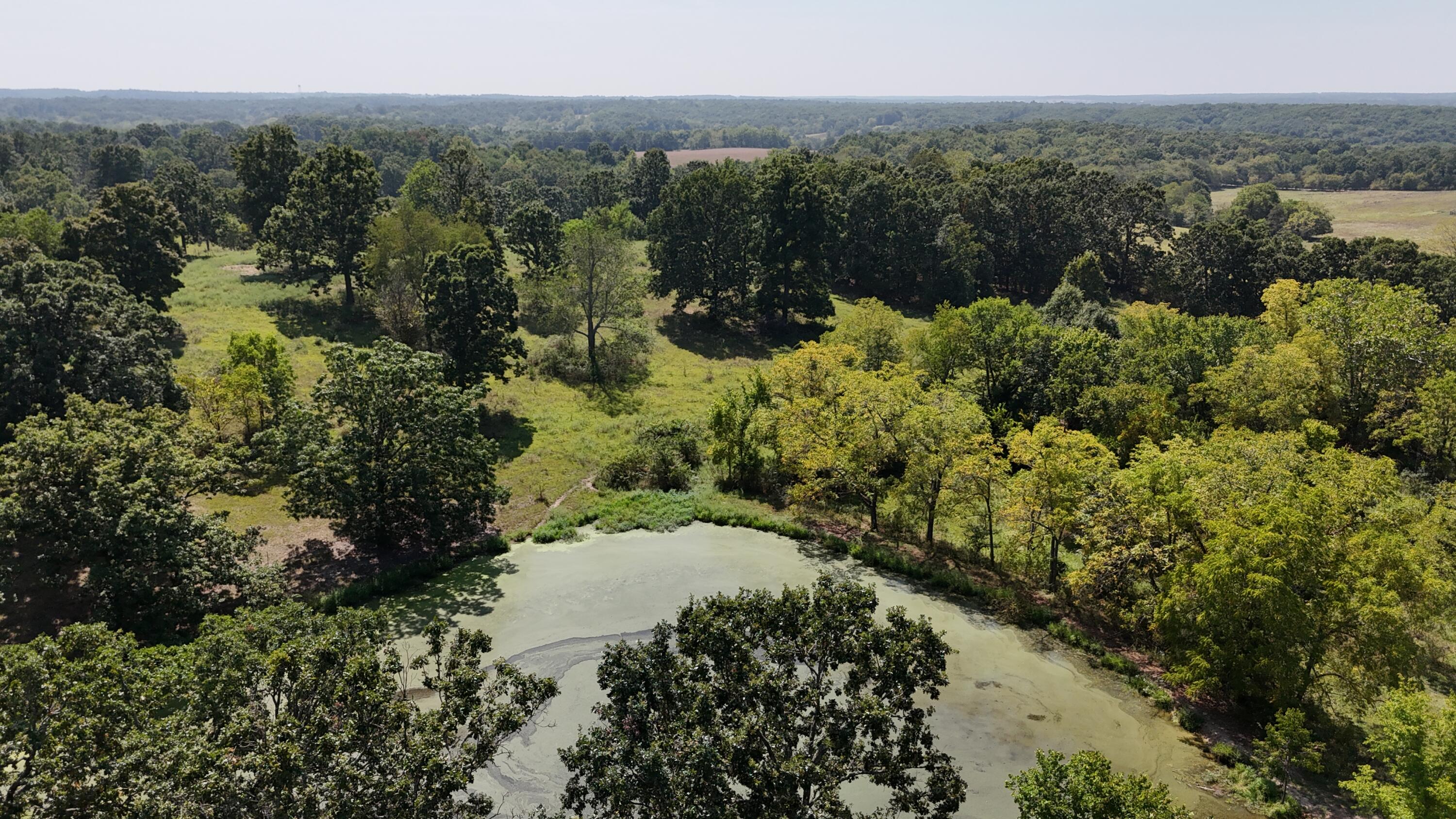24770 Juniper Road Lebanon, MO 65536 - Photo 28 of 28 DJI_20250904140107_0123_D