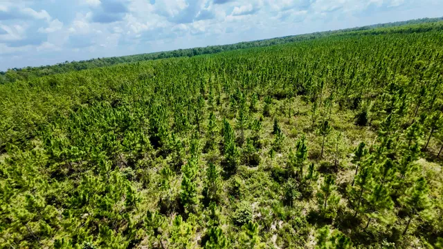 $280,000 | 141 Southwest Hwy Jasper Highway, Jasper, FL 32052