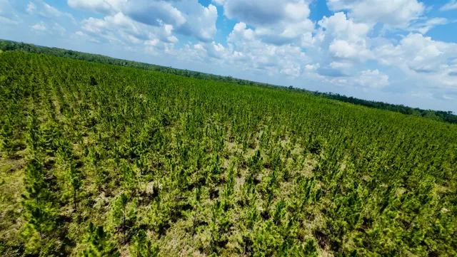 $280,000 | 141 Southwest Hwy Jasper Highway, Jasper, FL 32052