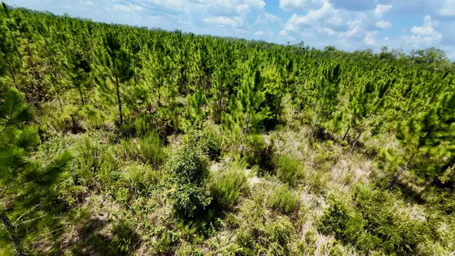 $280,000 | 141 Southwest Hwy Jasper Highway, Jasper, FL 32052