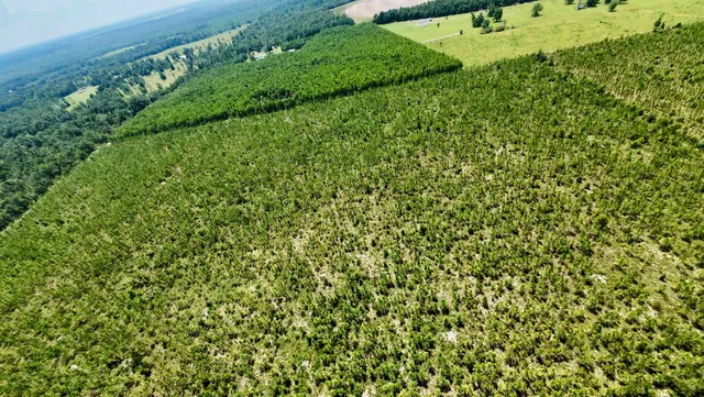 $280,000 | 141 Southwest Hwy Jasper Highway, Jasper, FL 32052