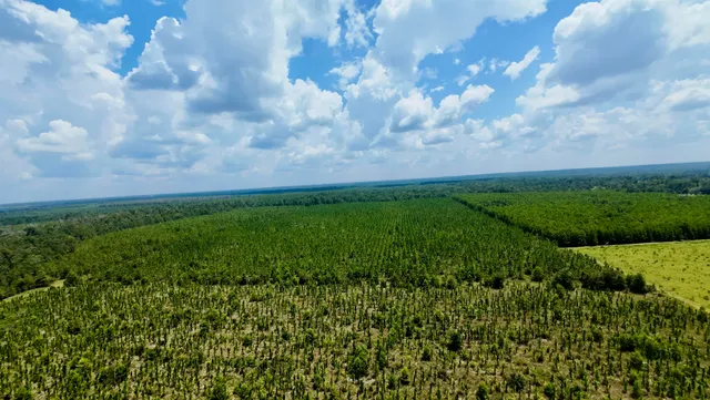 $280,000 | 141 Southwest Hwy Jasper Highway, Jasper, FL 32052