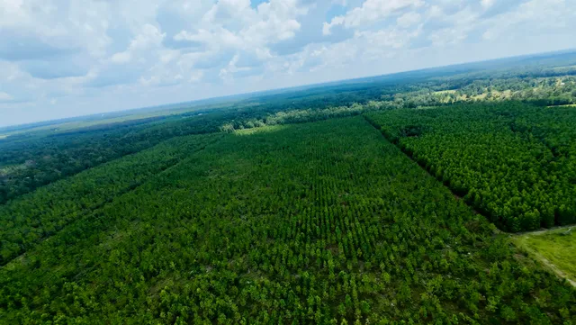 $280,000 | 141 Southwest Hwy Jasper Highway, Jasper, FL 32052