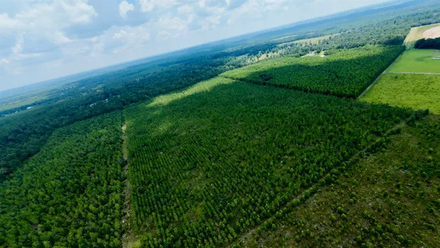 $280,000 | 141 Southwest Hwy Jasper Highway, Jasper, FL 32052