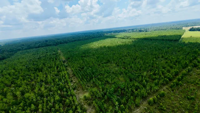 $280,000 | 141 Southwest Hwy Jasper Highway, Jasper, FL 32052