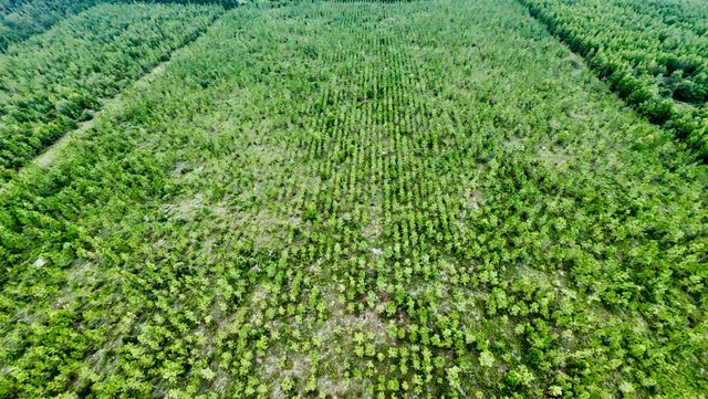 $280,000 | 141 Southwest Hwy Jasper Highway, Jasper, FL 32052