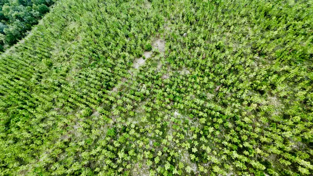 $280,000 | 141 Southwest Hwy Jasper Highway, Jasper, FL 32052