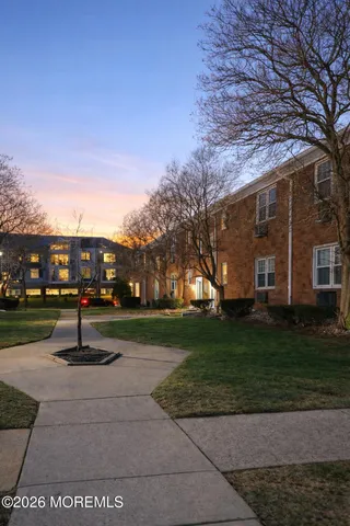 a park with large trees