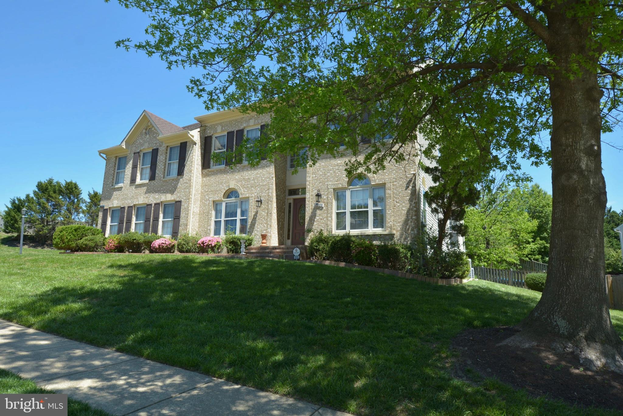 9000 Scott Street Springfield, VA 22153 - Photo 2 of 60 Gallery Image 2