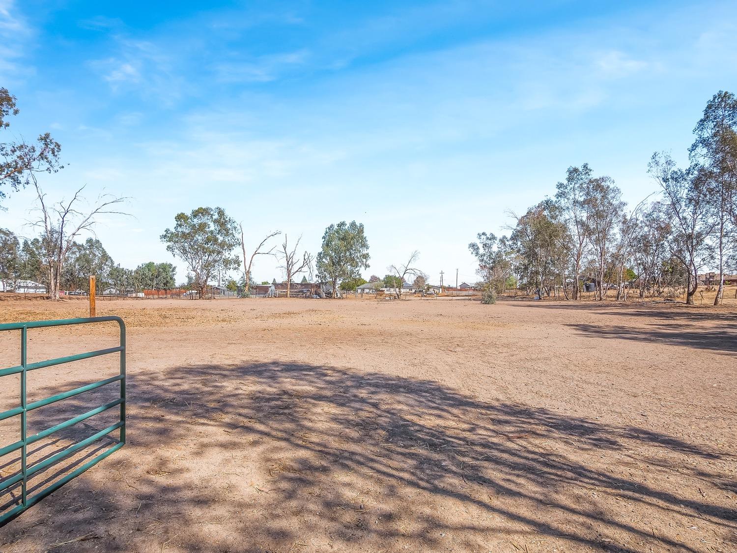 16181 Monreal Road Madera, CA 93636 - Photo 18 of 40 a view of road view with large trees